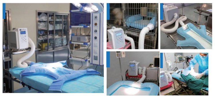 WMV1501 Veterinary Warm System