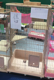 New bottom support solid wood cat cage